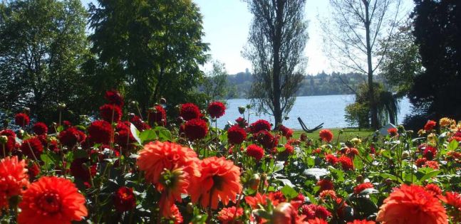 Бодензее - Баварски замъци - Залцбург - Мюнхен