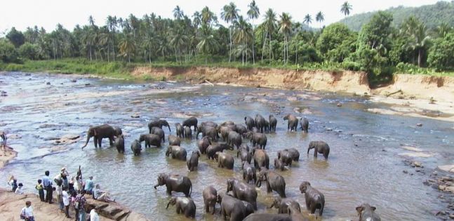 Шри Ланка - декември 2025